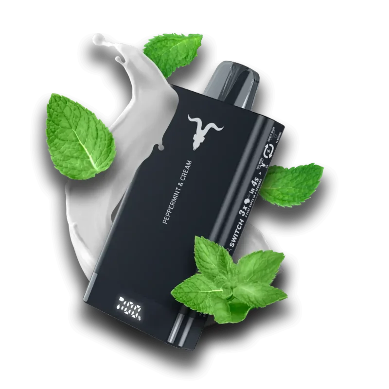 Ignite v150 15000 Puffs - Image 4